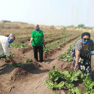 Celebrating the UN Women Climate Smart Agriculture partnership in Africa